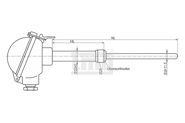 Skizze Thermometer fuer Hochtemperatur Anwendungen TP11